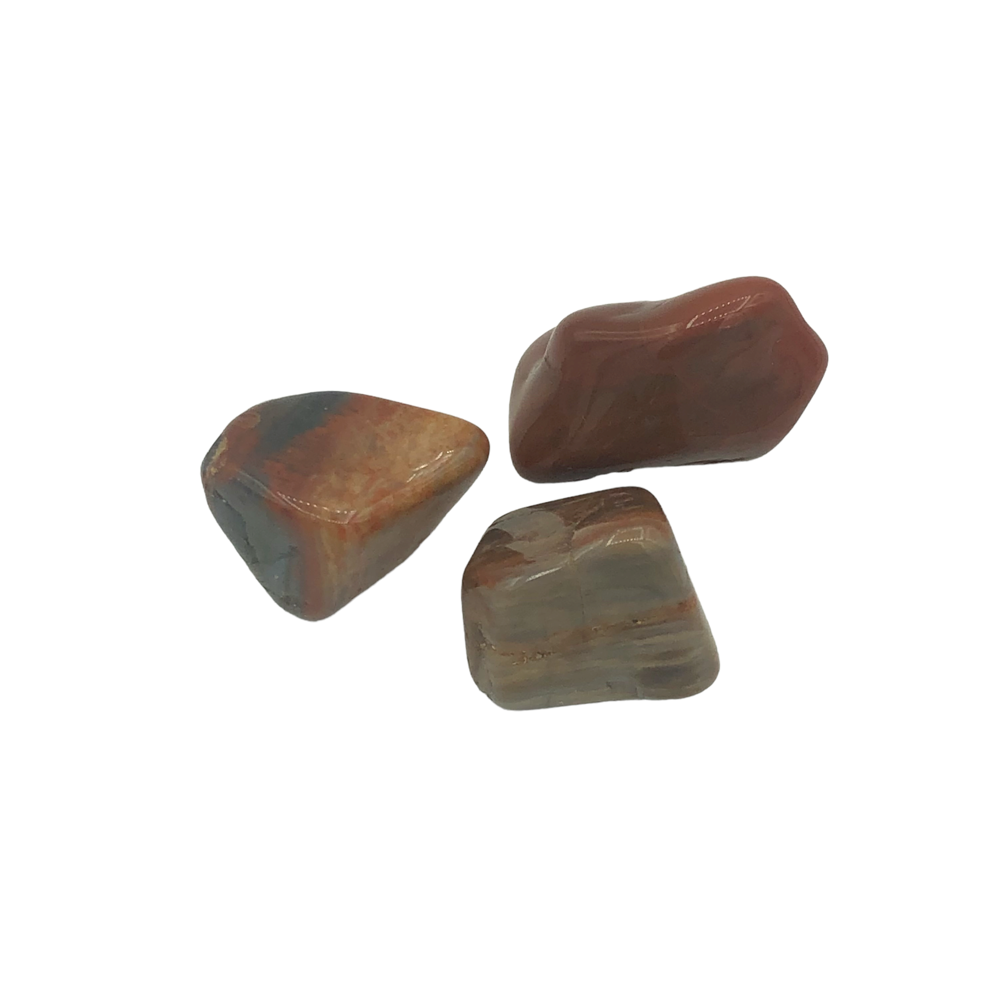 Petrified Wood Tumble $2